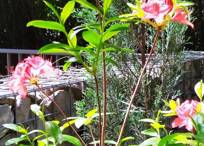 Apartamento Mecenasa *